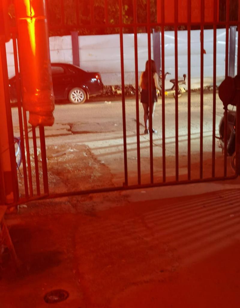 那天路过那里，看到路边又有了，